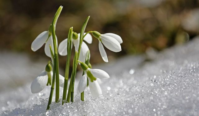 Cemre baharın gelişi mi demek? İlk cemre ne zaman düşecek?