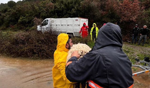 Sağanak sonrası Büyükşehir sahada! Karaburun, Dikili, Urla, Foça ve Bergama’da yoğun mesai