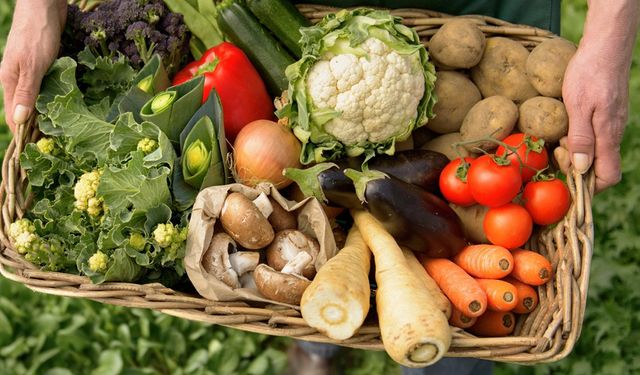 Uzmanlardan “organik” uyarısı: 'Etiket yetmez, sertifika şart'