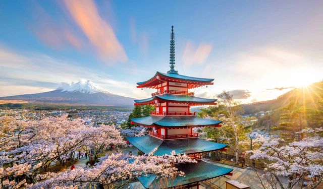 Japonya erken seçim için sandık başında