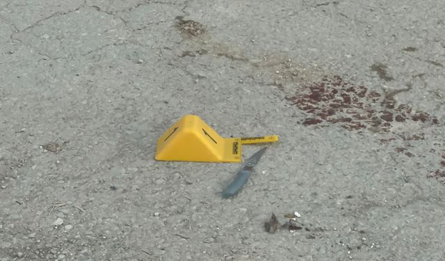 Bıçaklı kavgada 2 kişi ağır yaralandı!