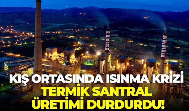 Manisa Soma'da kış ortasında ısınma krizi: Termik Santral üretimi durdurdu!