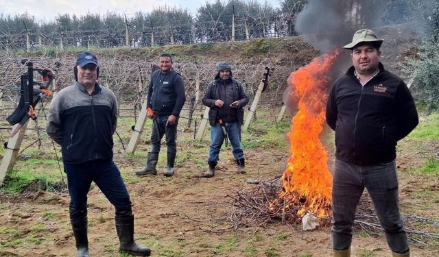 Manisa’da don kesiyor, üretim sürüyor: İşçiler ateş yakıp bağlara koşuyor!