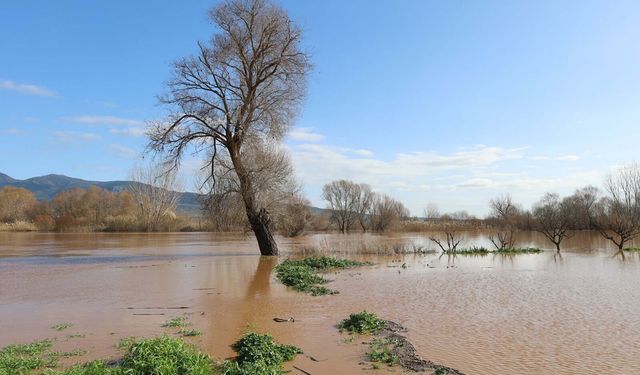 Gediz taştı! Köprü su altında, yollar kapandı