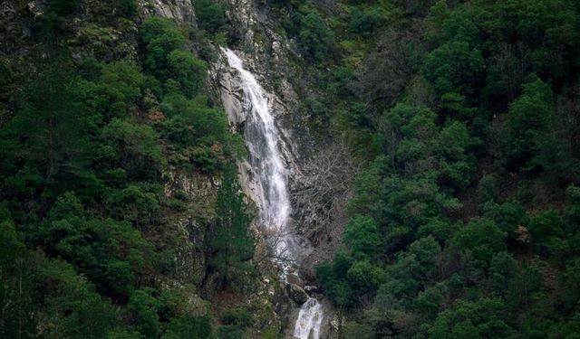 Yağışlar mucizeyi getirdi: Kuruyan şelale dirildi, 699 bin TL’lik uyarı