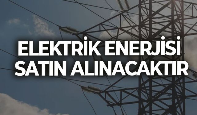 1 YIL (12 AY ) ELEKTRİK ENERJİSİ SATIN ALINACAKTIR