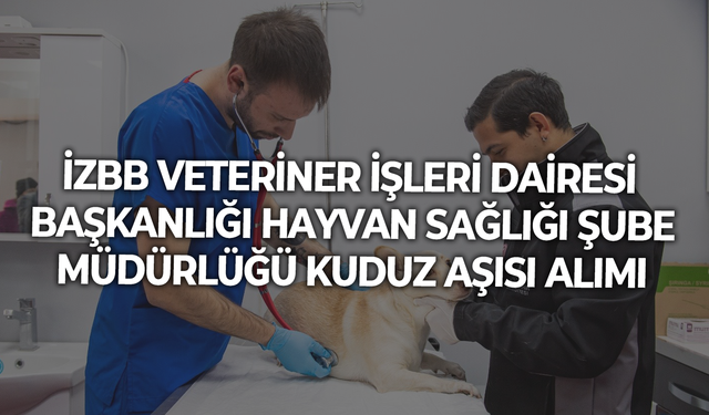 VETERİNER İŞLERİ DAİRESİ BAŞKANLIĞI HAYVAN SAĞLIĞI ŞUBE MÜDÜRLÜĞÜ KUDUZ AŞISI ALIMI