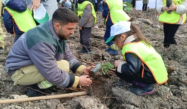 Aliağa’da yanan alanlar yeniden yeşeriyor: Fidanlar umut oldu