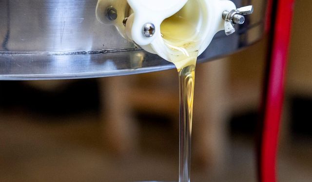 Ata mesleği değerine değer katıyor: 'Tatlı' işin aylık getirisi 120 bin TL