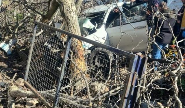 Aydın’da feci kaza: Otomobil ağaçlara çarptı, 2 kişi hayatını kaybetti