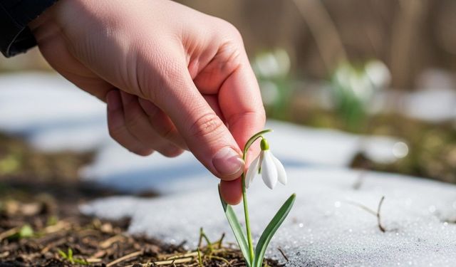 Doğanın narin çiçeğine dokunmanın bedeli ağır: 699 bin TL ceza!