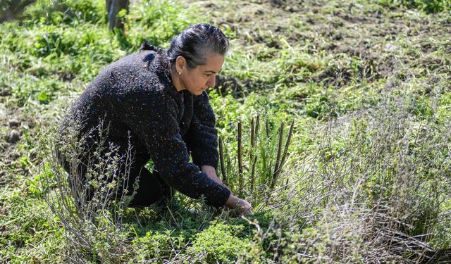 İzmir Meslek Fabrikası’ndan bir başarı hikayesi daha!