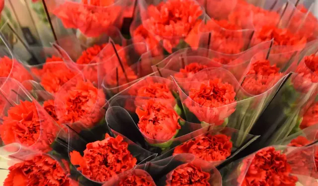 İzmir'de Kadınlar Günü öncesi çiçekçilerde kırmızı karanfil yoğunluğu!