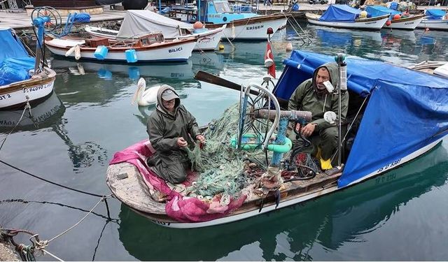Maviliklere olta atıldı! Foça Yerel Balık Festivali coşkuyla başladı