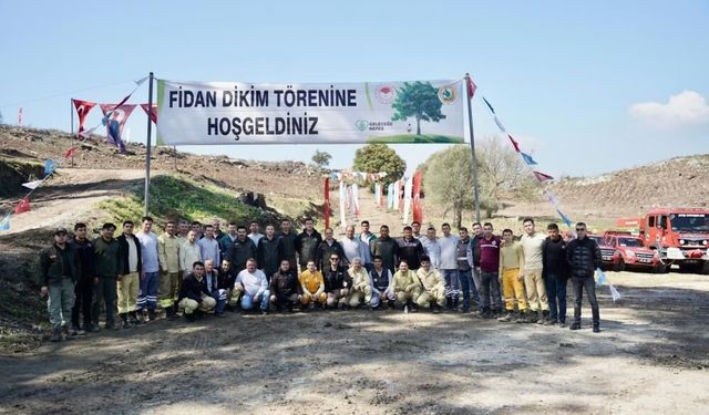 Milas’ta yanan ormanlar yeniden yeşeriyor: Binlerce fidan toprakla buluştu