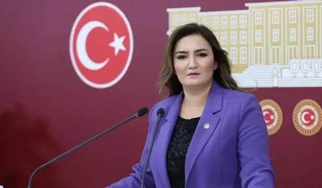 CHP’li Sevda Erdan Kılıç’tan İsmail Arı gözaltısına tepki!