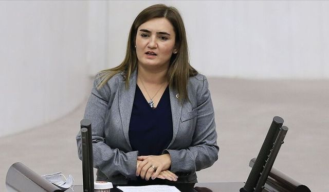 CHP'li Sevda Erdan Kılıç: "İzmir'in doğası rant rezervi değildir!"