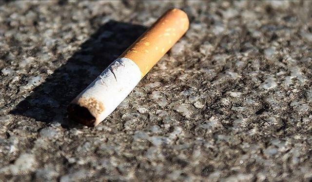 Sigara izmaritindeki DNA cinayeti aydınlattı!