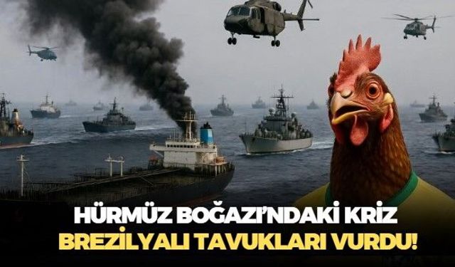 Hürmüz Boğazı'nda yaşanan kaos Brezilya'nın tavuklarını vurdu! Alternatif rota olarak  Türkiye'nin adı öne çıktı