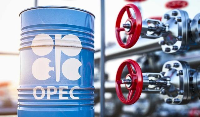 Birleşik Arap Emirlikleri OPEC'ten neden ayrılıyor? OPEC nedir?
