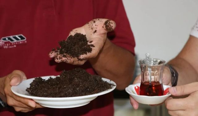 Çayı demleyip posasını atanlar dikkat: Çöp değil hazineymiş