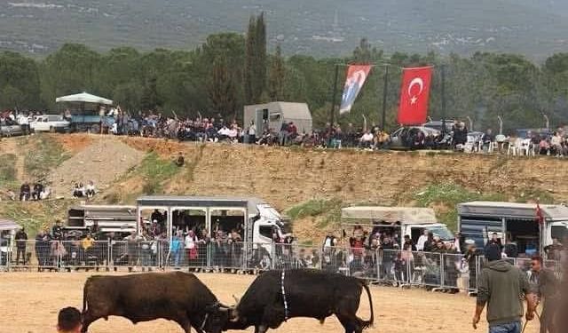İzmir Kemalpaşa'da beklenen festival için geri sayım başladı