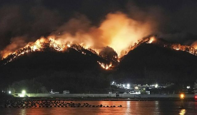 Japonya’da orman yangınları büyüyor: 1000 hektardan fazla alan küle döndü