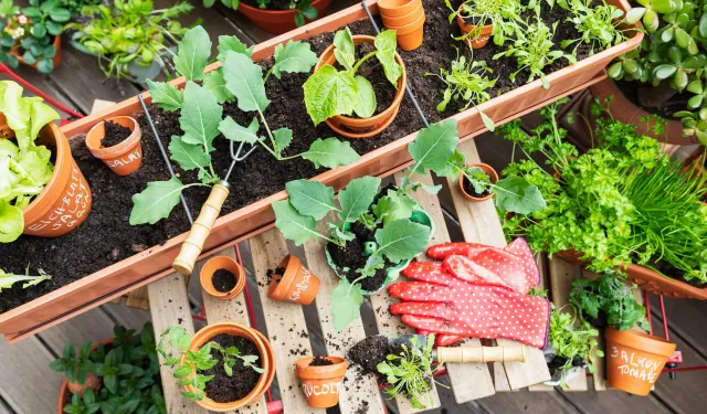 Nisan'da balkonda bunları dikenlerin Temmuz'da pazar masrafı düşecek!