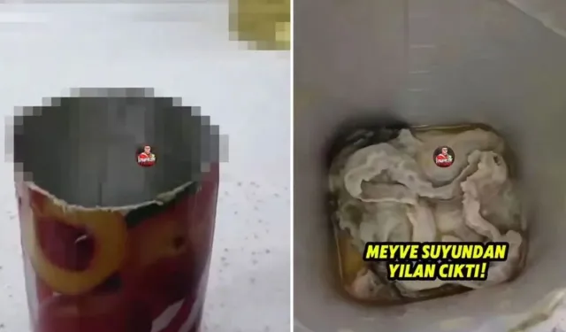 İzmir'de meyve suyundan yılan mı çıktı? Meyve suyundan çıkan cisim ne, gerçek mi?