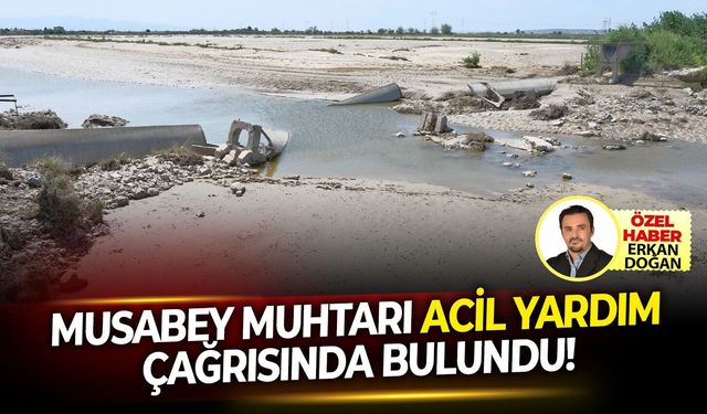 Muhtardan Menemen Belediyesi ve DSİ'yi çağrı ! Acil yardım edin...