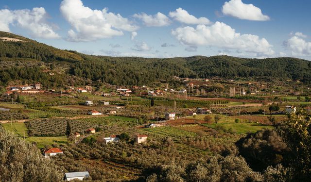 Seferihisar’daki çevre savaşında yeni raund! 98 kişi, 6 yıl, 7. bilirkişi incelemesi!