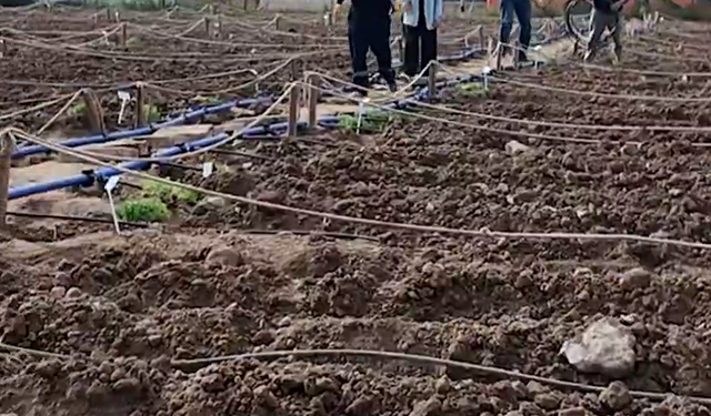 İzmir Bornova'da fideler toprakla buluştu: Başkan Eşki'den 'birlikte üretim' mesajı!