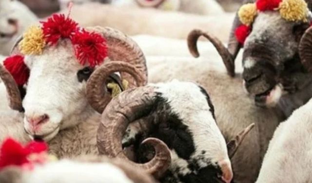 Kurban Bayramı tatili kaç gün? Kurban Bayramı tatili uzatıldı mı?