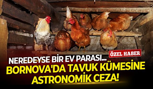 Bornova'da tavuk kümesine astronomik ceza!
