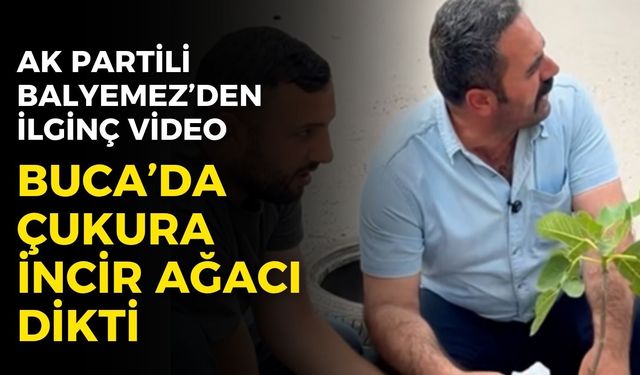 AK Partili Balyemez, Buca'da çukura incir ağacı dikti!