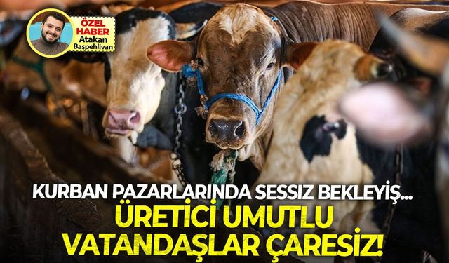 Kurban pazarlarında sessiz bekleyiş: Üretici umutlu, vatandaş çaresiz!