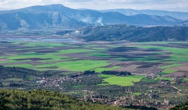 İzmir'in ovaları nelerdir? Üç büyük havzada uzanan verimli topraklar