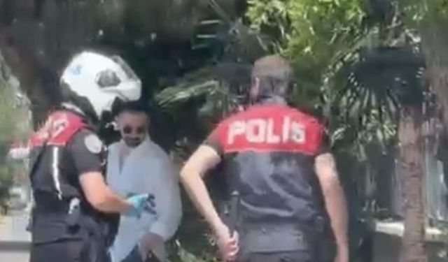 İzmir’de yürek burkan olay: Yavru kediye çarpan sürücü kaçtı, polis ekipleri trafiği durdurdu