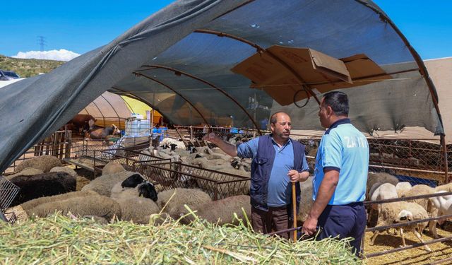 Karabağlar'da Kurban Bayramı hazırlığı: Başkan Kınay'dan paylaşım!