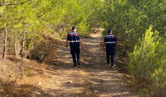 Manisa’da traktör kazası can aldı: Bağda çalışan sürücü yaşamını yitirdi