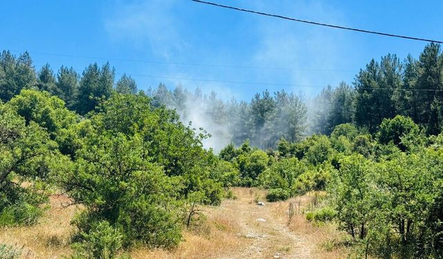 Muğla'da orman yangını! Ekipler zamanla yarıştı