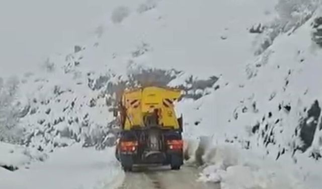 İzmir'de bahar yerini kara bıraktı!
