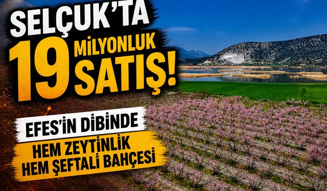 Selçuk’ta 19 milyonluk satış! Efes’in dibinde hem zeytinlik hem şeftali bahçesi