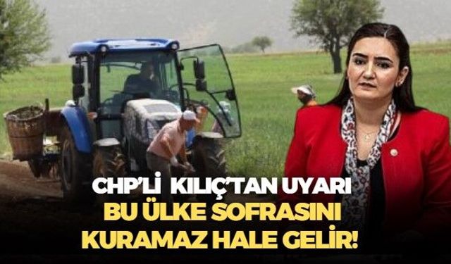 CHP'li Sevda Erdan Kılıç çiftçilerin sesi oldu! Bu nasıl bir düzendir ki, üreten kaybediyor, ithal eden kazanıyor