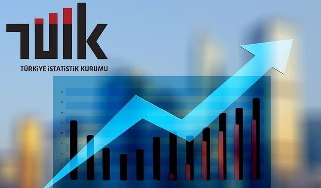 TÜİK'te Erhan Çetinkaya dönemi kapandı! TÜİK'in yeni patronu Mehmet Arabacı kimdir?