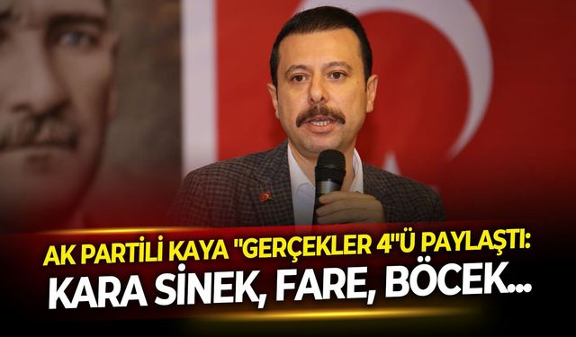 AK Partili Kaya "Gerçekler 4"ü paylaştı: Kara sinek, fare, böcek...