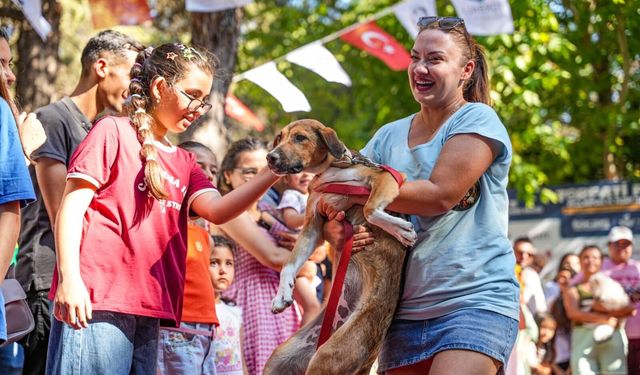 Torbalı’da patili festival: 32 can dostu yuva buldu, 100 dönümlük müjde geldi!