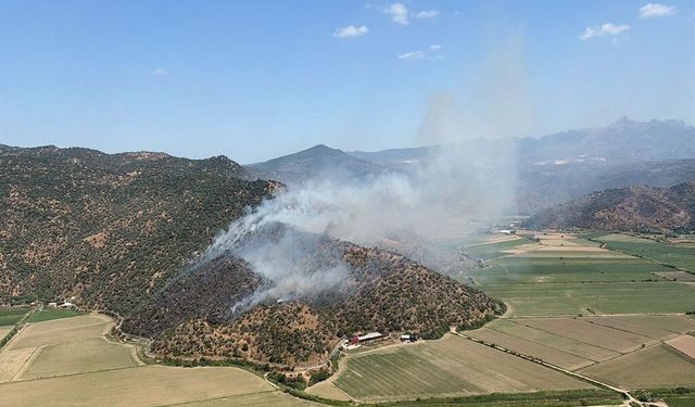 Aydın Söke’de zeytinlik yangını: Ekipler alevlere havadan ve karadan müdahale ediyor