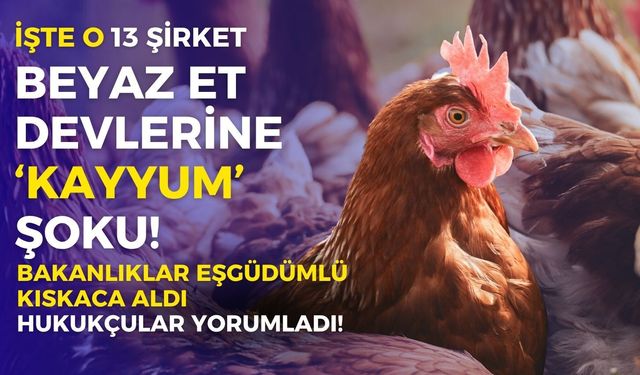 Beyaz et devlerine ‘kayyum’ şoku! Bakanlıklar eşgüdümlü kıskaca aldı, hukukçular yorumladı!