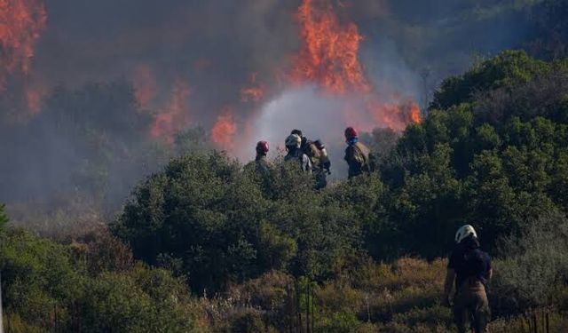 Çeşme’de orman yangınlarına karşı ortak mücadele toplantısı!